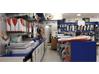 Shop-Mulgi for Rent in Kondapur